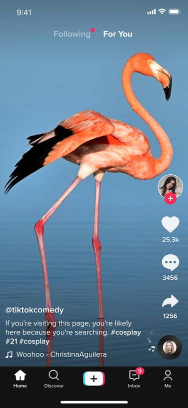 TikTok Virality